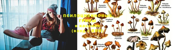 синтетический гашиш Медвежьегорск