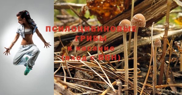 apvp Мегион