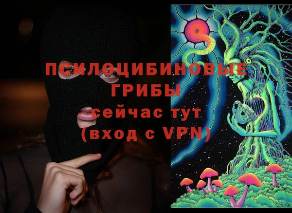 apvp Мегион