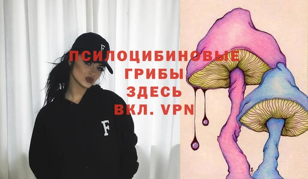 синтетический гашиш Медвежьегорск
