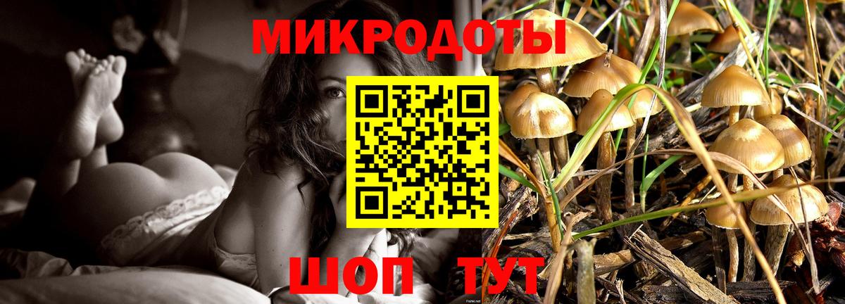 Нижневартовск  Псилоцибиновые грибы мицелий  Вход с VPN 